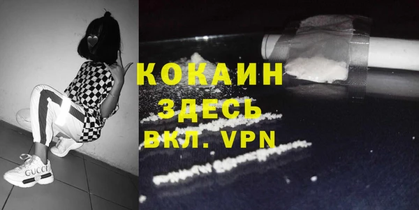 дмт Верея