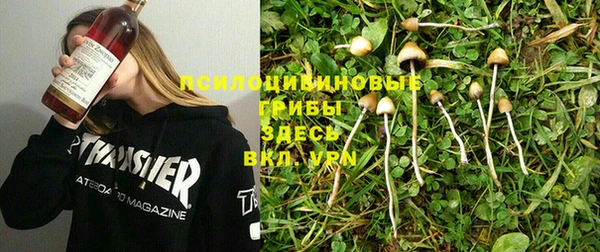 дмт Волоколамск