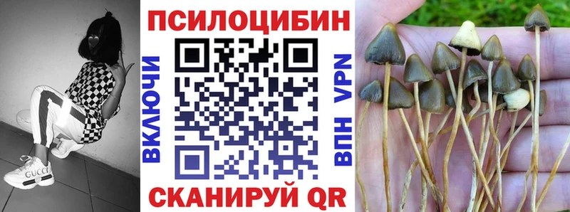 купить наркотик  Обнинск  OMG маркетплейс  Галлюциногенные грибы MAGIC MUSHROOMS 